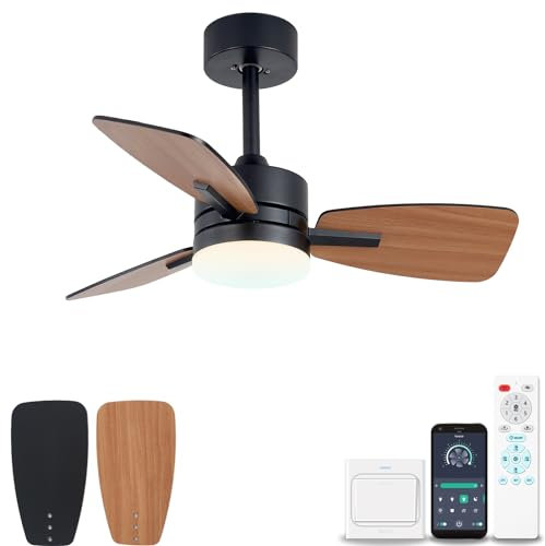 YOLEDY Ceiling Fan with Light and Remote App, 30 Inch Ceiling Fans with Lamps Quiet, Reversible Noiseless DC Motor Fans, Dimmable, 3 Blades Fan Light for Bedroom, Kitchen, Dining Room
