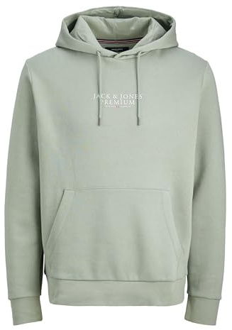 JACK & JONES Men's Jprbluarchie Sweat Hood Noos, Iceberg Green, L