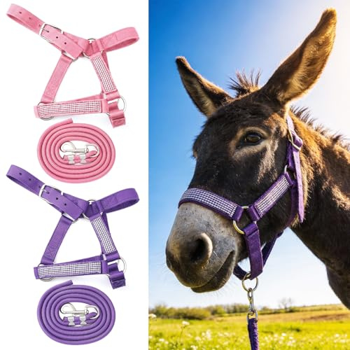 Yeyeplum 2er-Set Miniatur-Eselhalfter mit Führseilen, niedlich und stilvoll, verstellbar, lila und rosa, Nylon-Halfter für Miniatur-Esel