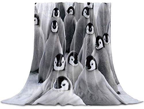 JOOCAR Flanell-Überwurfdecke, Pinguin, Babygrau, gemütlich und weich, warm, für Bett, Couch, Wohnzimmer, Sofa, Stuhl