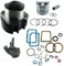 Generico Kit Cilindro e Pistone + Pompa Olio + Serie Guarnizione Completa e Paraoli Compatibile per Motore Lombardini Diesel 6ld 360 per Motozappa e Motocoltivatore