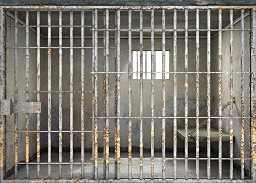 BELECO 1.5x1m Fabric Prison Bars Backdrop Jail Backdrop Jail Bars Murder Crime Theme Party Police Cell Mugshot Photography Background Birthday Party Decoration Kids Adults Video Studio Photo