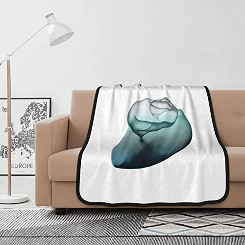 Doppelseitige Decke mit schimmerndem Schnecken-Druck, 101,6 x 127 cm, für Bett, Sofa und Couch