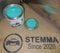 Stemma®, vernice per pinza dei freni, colore verde per alte temperature, 125 ml, lucida
