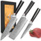 Set Coltelli da Cucina, 3 Pezzi, Coltello da Chef in Acciaio Damasco con 67 Strati, Set Di Coltelli da Carne Affilati Professionali, Lama da 12.5-19.3cm, Manico G10, in confezione Regalo