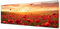 Diamond Painting Mohn Diamant Painting Bilder Vogel Diamond Painting Erwachsene Kinder, Malen nach Zahlen Diamant Anfänger, DIY Mosaikherstellung Bastelset für Zimmer Deko Geschenke, 225x90cm R1-225