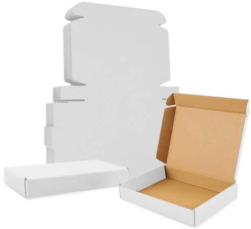 Wellpack Europe Corrugated Cardboard Large Letter & Small Parcel Posting Boxes PiP Shipping Postage Box (Small (254x203x50mm / 25x20x5cm), White, 10)