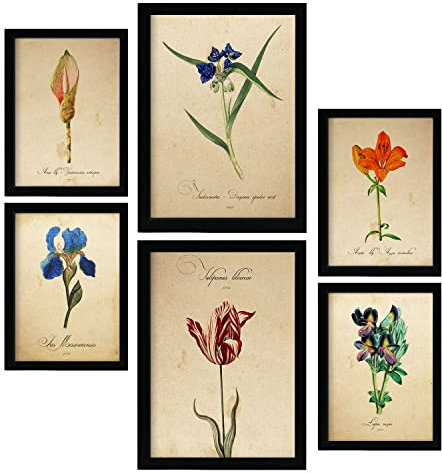 Nacnic Blaue Blumen Postern. Vollfarbige Natur- und Botanikdrucke mit Blumenmotiven im Vintage Papier Stil. Innenarchitektur und Dekoration. A4 & A3.