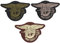 3D US Navy Seals PVC Emblem patch Aufnäher, Klett, Navy Seals (3er Mix: 1x grün, 1x braun & 1x grau)