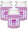 Swizzels Parma Violet Scented Candle Glass Jar - Up to 95 Hours Burn - (Pack of 3) - 510g