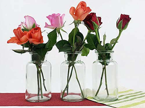 6 Stück Runde Typ 300 Mini Vasen Glasfläschchen kleine Dekoflaschen Flasche Väschen Vase Glasflaschen Blumenvase (6 Stück)