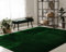 Paco Home Moderner Kuscheliger Wohnzimmer Teppich Kurzflor waschbar flauschig Weich Einfarbig Felloptik zeitlos stilvoll rutschfest pflegeleicht, Grösse:80x150 cm, Farbe:Grün