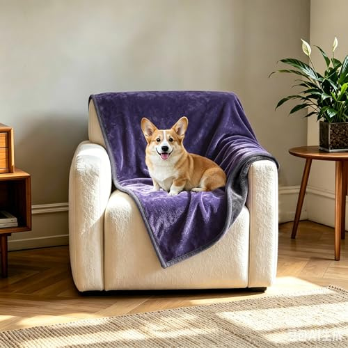YISURE hundedecke Wasserdicht Waschbar 100x80cm für Sofa | Graue und lila decke katzendecke outdoor für hunde katzen, Reversible Möbel- oder Bettmatratzenschoner