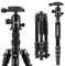 ZOMEI Q666 Camera Tripod, 61 inch Compact Lightweight Aluminum Travel Tripods Monopod with 360 Degree Ball Head,1/4 Quick Release Plate and Carry Bag