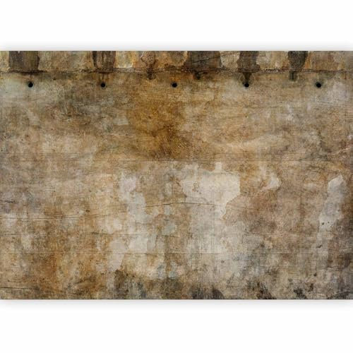 murando - Papier peint panoramique artistique 400x280 cm - Revêtement mural décoration pour chambre salon cuisine - Design unique et moderne - Marron gris beige - f-C-10022-a-a