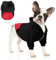 meioro Hunde Kapuzenpullis Warm Hundebekleidung Reißverschluss Hundekleidung Nette Haustier Hoodies (XXL, Schwarz)
