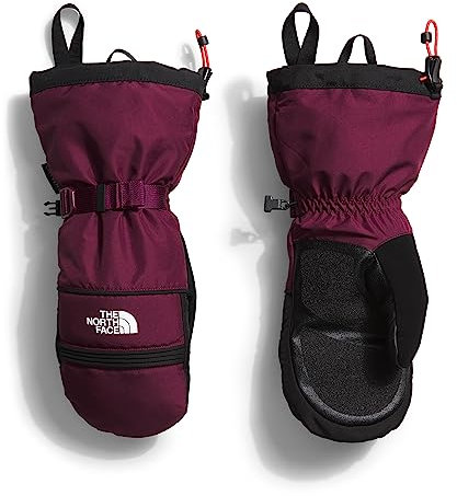 THE NORTH FACE Montana Handschuhe TNF Black/Vanadis Grey L