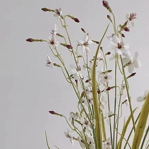 100 pcs Schwanenblume Samen Nachhaltige Geschenke (Butomus umbellatus) Teichpflanzen Winterhart Balkonpflanzen Winterhart Mehrjährig Zimmerpflanzen Samen Teichdeko Winterharte Stauden