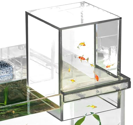 Fischlifttank aus Acryl – transparente umgekehrte Fischschale, leichter Aquariumtank, transparente Anzeige | verbessert die Aktivität der Fische und die Kontrolle des Wasserstands