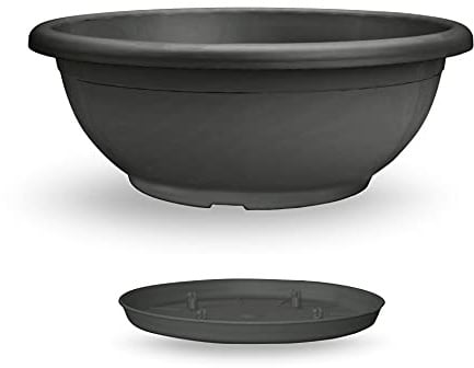 Veca Ciotola Naxos con Sottovaso ad Incastro
