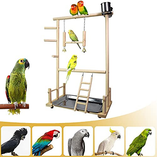 CHSEEO Papagei Spielplatz für Vögel, Bird Playground Kauspielzeug Con Holzleiter, Vogelschaukel, Klingel, Papagei Sitzstangen, Futterschalen aus Edelstahl und Tablett, 36 x 23 x 57 cm