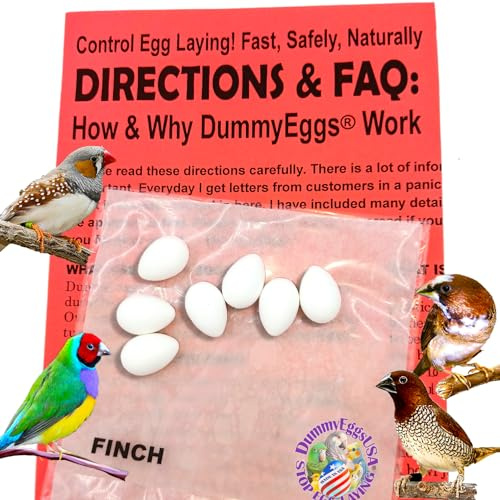 DummyEggs Finch Eggs Plastic Dummy Trick Your Bird to Stop Brooding Laying 5/8 x 1/2 White Non-Toxic 7 Solid Realistic Fake Bird Eggs USA