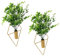TOPBATHY 2 Sets Blumenständer Hängende Pflanzgefäße Deckvasen Für Geländer Vintage Blumentopf Hängende Blumentöpfe Schmücken Die Hauswand Blumentopf Geländer Pflanzgefäß