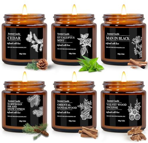6 Stück Kerzen Geschenkset für Männer, Duftkerzen im Glas,Dufted Kerzen mit Deckel,Tragbare Zinnkerzen,Natürliche Düfte, Langanhaltende Atmosphäre,Ideal für Männer