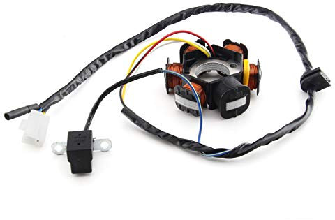 Ersatz Lichtmaschine kompatibel mit Vivacity, Citystar, Kisbee (50ccm/2T)