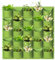 LITLANDSTAR Sacchetti per fioriere da appendere, 25 tasche, verticali da appendere alla parete, per coltivare piante e piante (1 m x 1 m, verde)