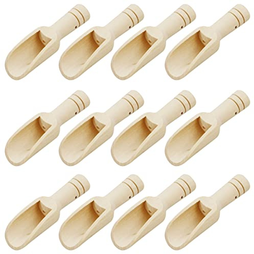 12 cucharas de madera pequeñas, pequeñas cucharas de sal de madera con agujeros para cucharada de sal de azúcar de frijoles