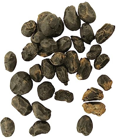Generic Mini semillas de Monstera, 200 piezas de semillas de plantas que embellecen productivas, ligeras, blancas, mini semillas de Monstera para exteriores Blanco