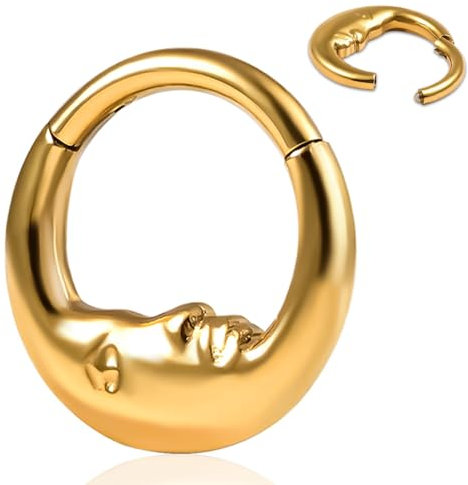 Vankula Septum Piercing Ring G23 Titanium Hinged Segment Clicker 8mm 16g Nasenpiercing Helix Rook Daith Tragus Piercing Schmuck für Frauen und Männer Gold