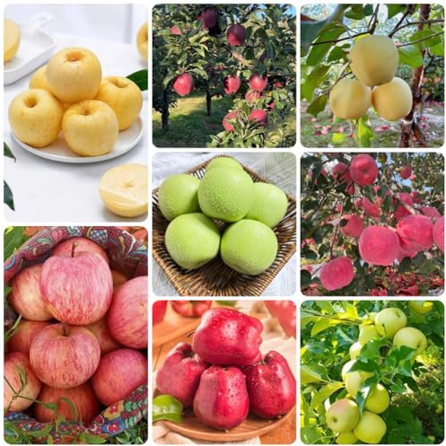apfelbaum kaufen samen - bio saatgut, alte sorten saatgut baum samen apfel, bäume garten winterhart, bonsaibaum hochbeet samen, pflanzen anzucht bonsai baum, balkonpflanzen winterhart 200pcs