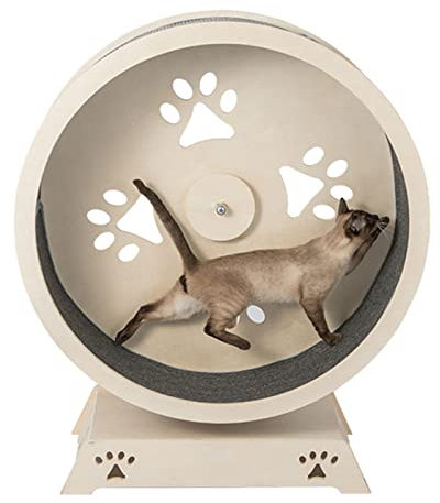 Katzenrad-Trainingsgerät für Hauskatzen – Hundelaufband, Hamster-Laufrad, Holzspielzeug für kleine/mittelgroße Hunde, Indoor-Übungen