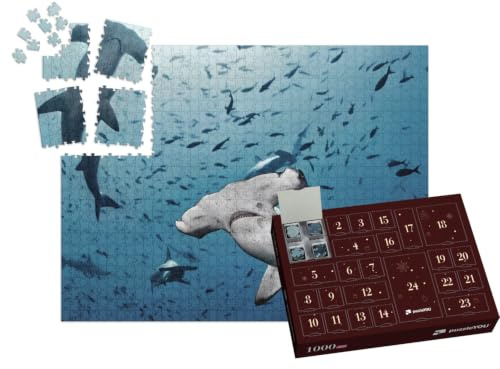 puzzleYOU: Puzzle-Adventskalender | „Hammerhaie auf der Jagd, Insel Cocos, Costa Rica“ – aus der Puzzle-Kollektion Haie, Raubtiere, Fische & Wassertiere