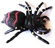 geo-versand 'Versteck Cache Insect Spider NEU Spinne schwarz rot