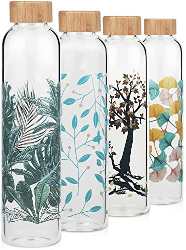 Cleesmil Bouteille d'eau en verre borosilicate sans BPA avec manchon en néoprène 1000 ml/1 litre (feuille Ins)