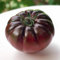 35 Samen der schwarzen Tomate von der Krim (französischer Herkunft). SemiSauvage Permaculture