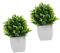 PERSELOSO 2pièces Petits Plantes Artificielles Pot pour Décoration Intérieure Bonsai Fausse Végétation Réaliste pour Bureau Et Maison