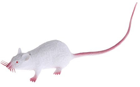 fatteryu Christmas Joke Fake Lifelike Mouse Model Prop Toy Party Decor
