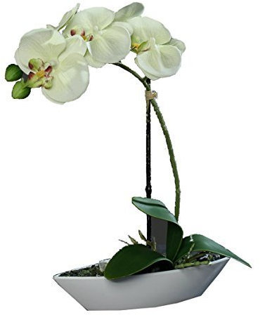 Künstliche Orchidee im Topf I Creme I künstliche Phalaneopsis in Dekoschale