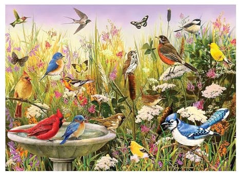 Cobble Hill Puzzle de 1000 pièces – Amis à plumes – Exemple d'affiche inclus