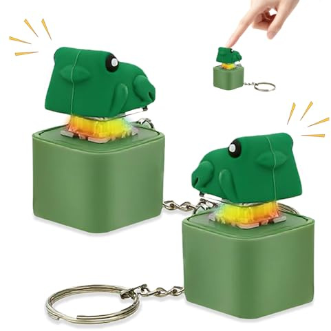 2 Pièces Porte-Clés Anti-Stress Grenouille – Jouet Fidget Lumineux et Criotant – pour Lutter Contre l'Anxiété et Aider à la Concentration