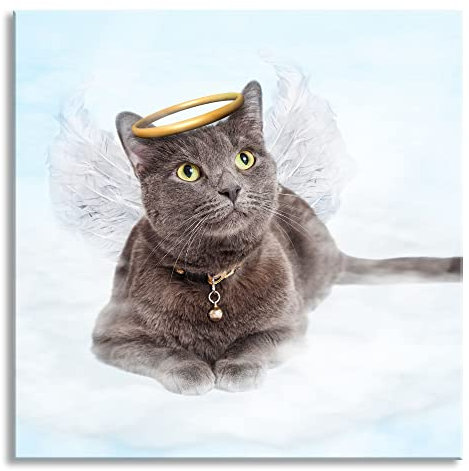 Pixxprint Glasbild, Wandbild auf Echtglas, Katzen-Engel auf Wolke, 40x40 cm, inkl. Aufhängung und Abstandshalter