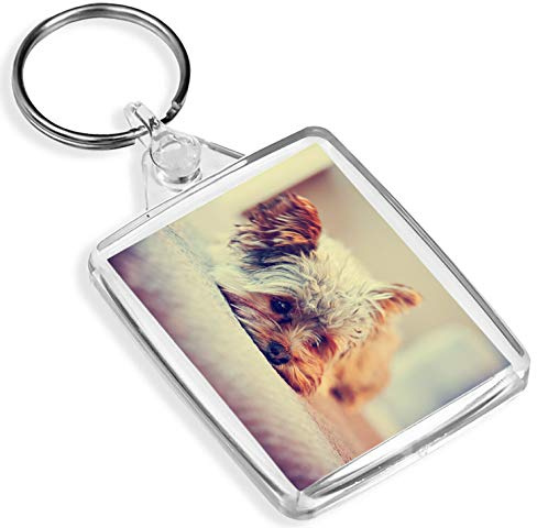 Yorkshire Terrier Keyring - IP02 - Cute Yorkie Dog Puppy Pet Lovers #15621