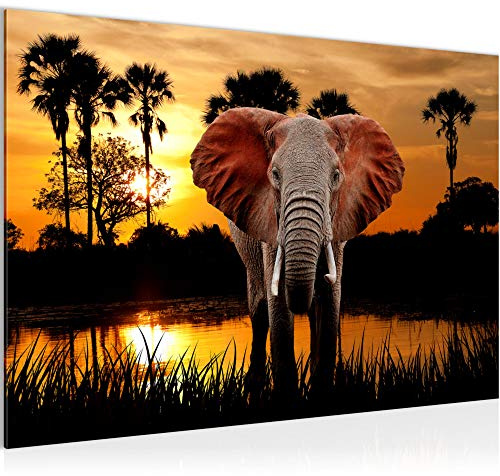 Runa Art Bild Afrika Elefant Modern Wandbilder Wohnzimmer Schlafzimmer 1 Teilig - Made In Germany - Panorama Savanne Orange Flur 001915a