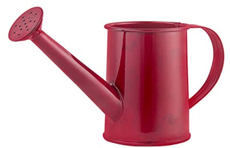 LIBOOI Mini arrosoir en fer galvanisé portable avec poignée, petit arrosoir d'intérieur pour enfants, pour la maison et le jardin