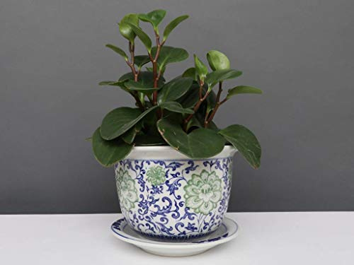 Yajutang China Porzellan Blumentopf Blau-Weiß grünen Blumen Ø13