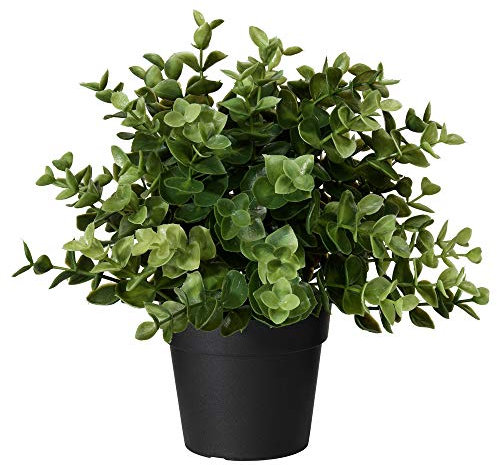 FEJKA Topfpflanze, künstlich, Kräuter Rosmarin/Bubikopf/Thymian/Oregano nach Wahl (Oregano)